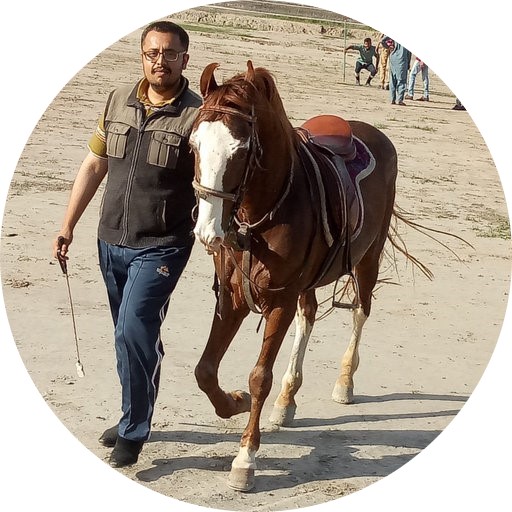 Mr. Saad BUKHARI